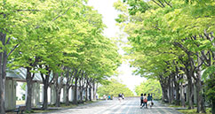 外国留学生