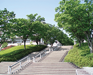 Grand staircase