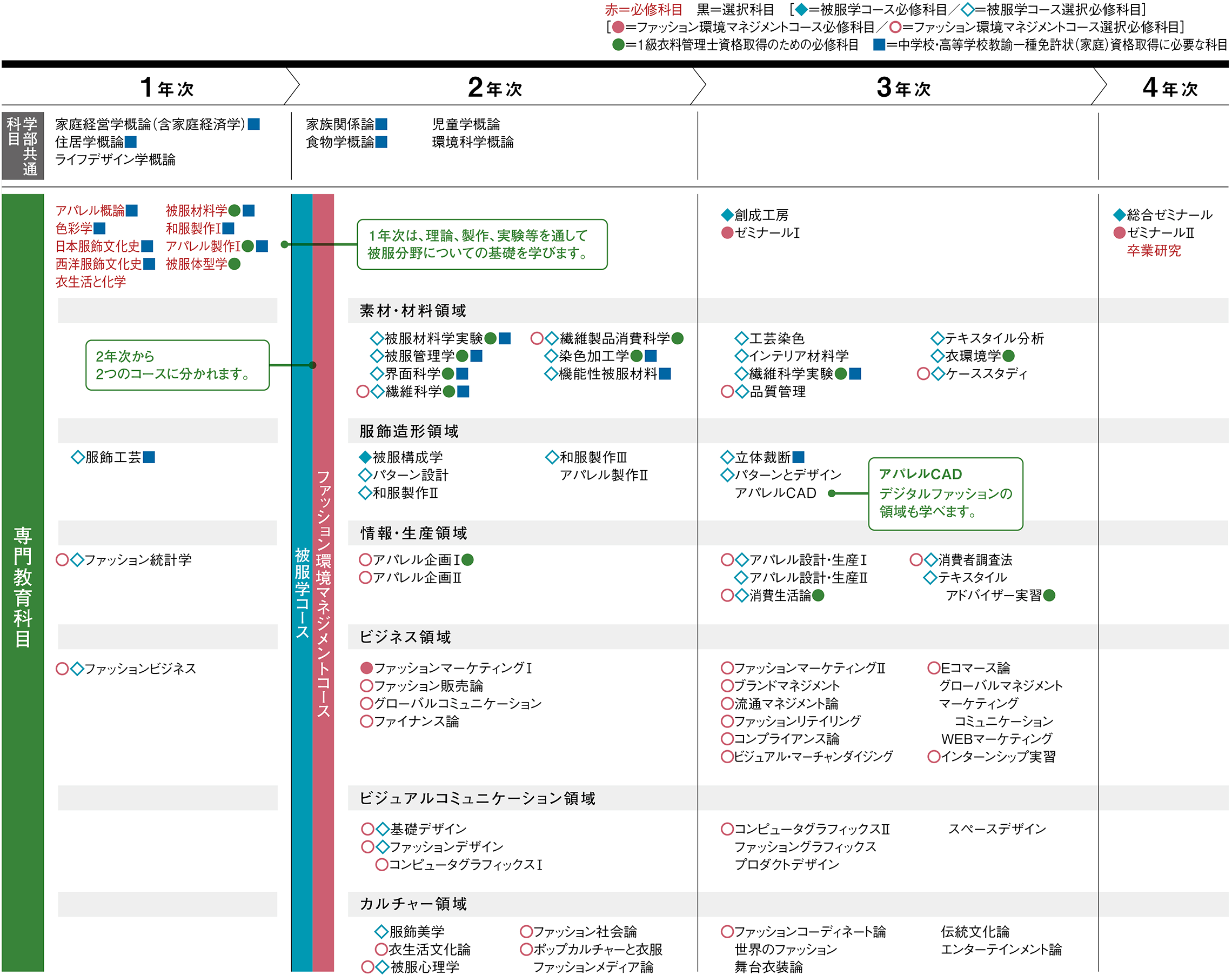 カリキュラム画像